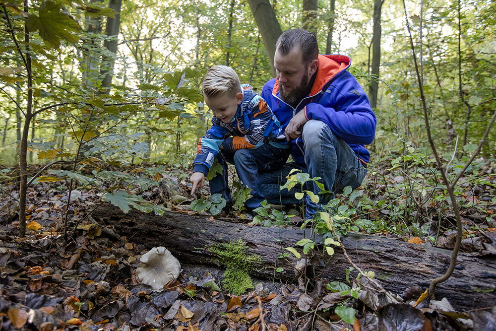 Staelduinse Bos | Foto: Ingrid Bertens