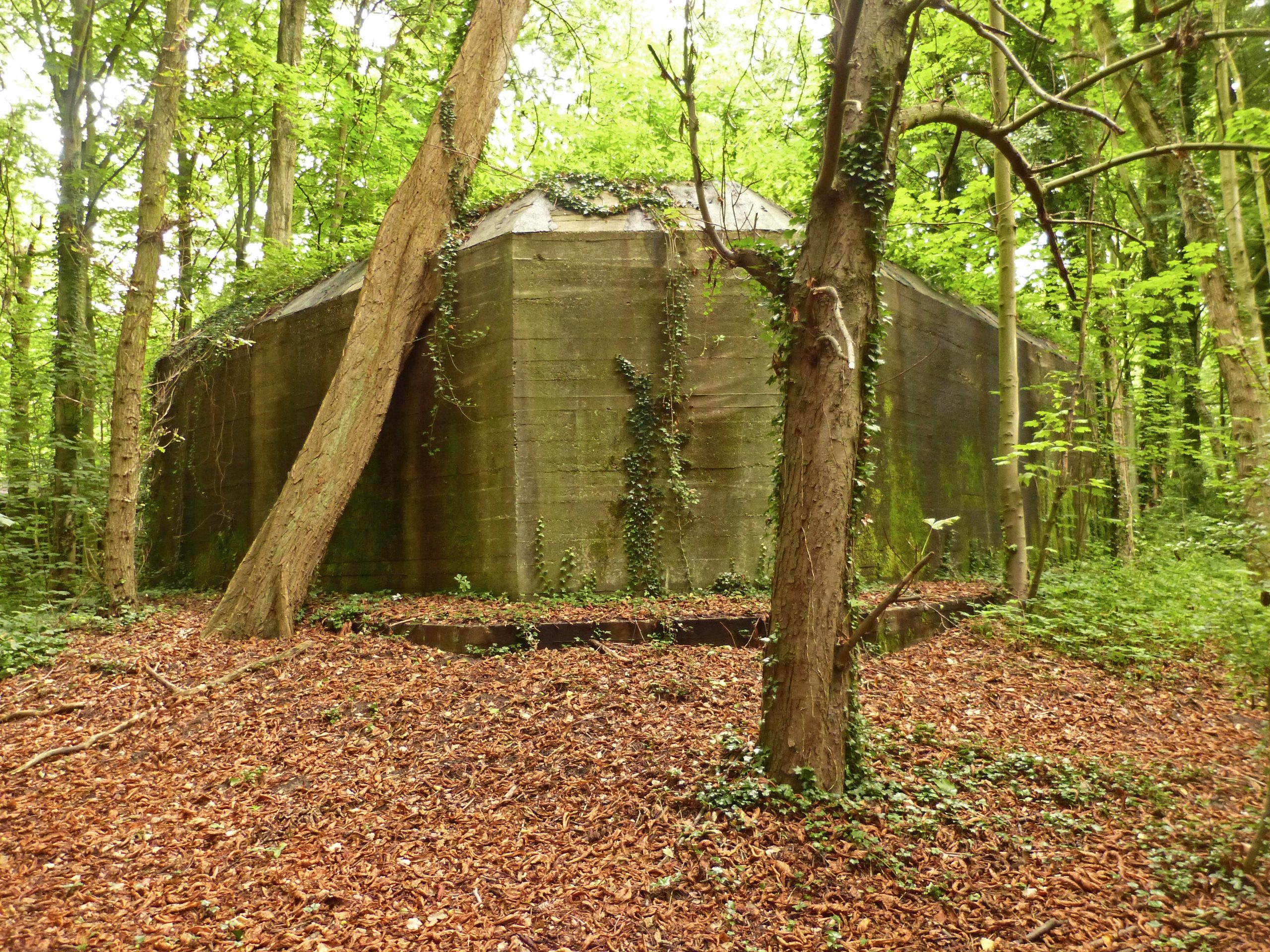 Bunker in het Staelduinse Bos