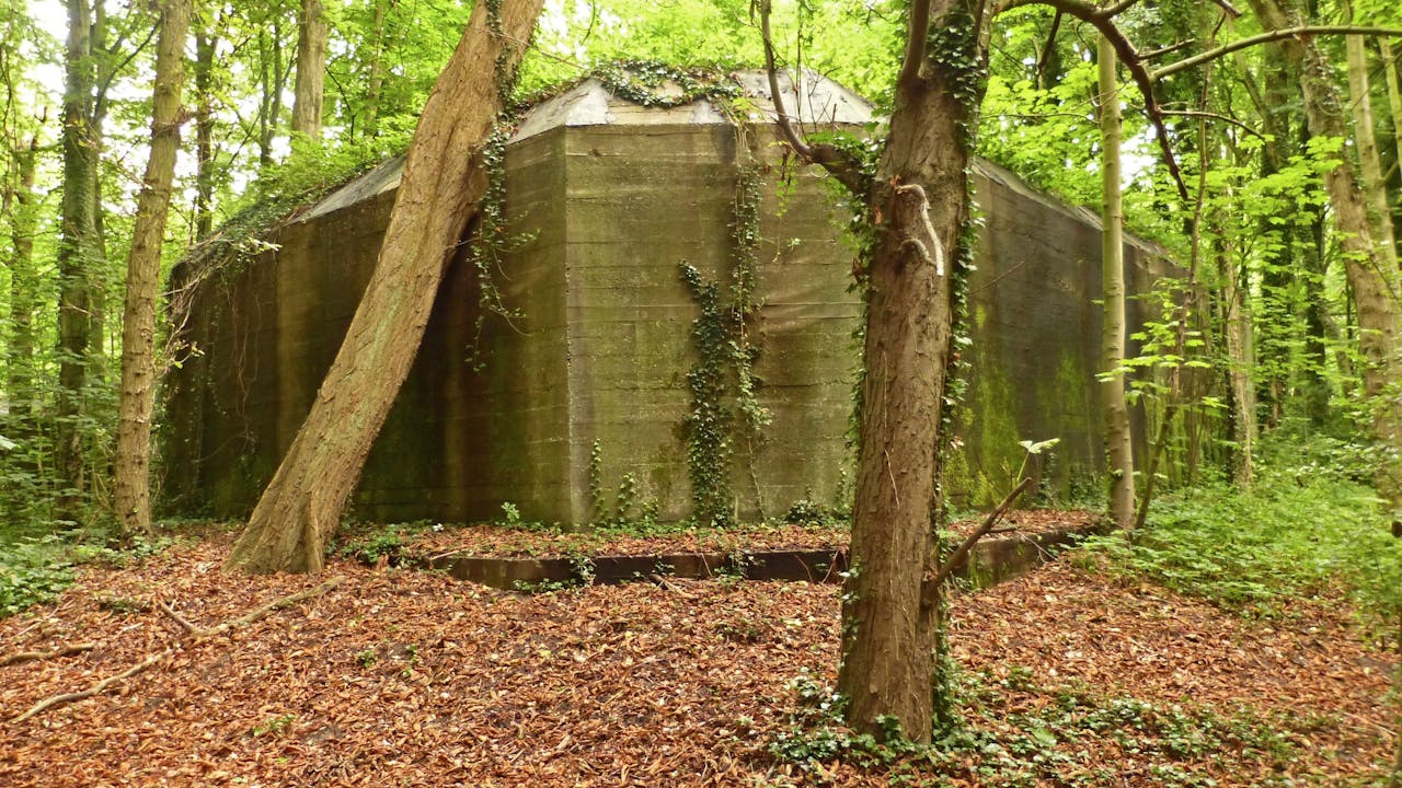 Bunker in het Staelduinse Bos