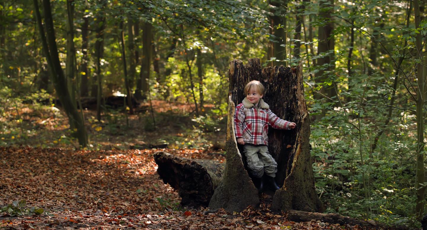 Staelduinse Bos - Foto: Holland Groen