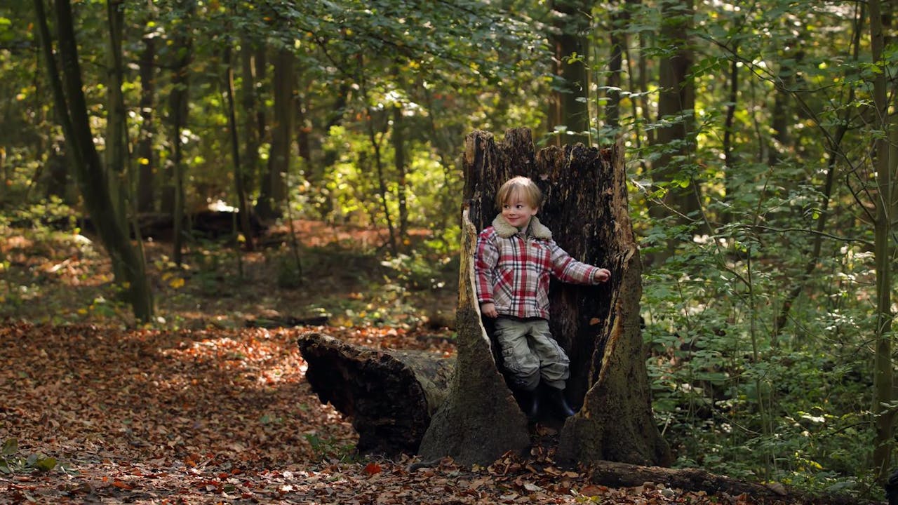 Staelduinse Bos - Foto: Holland Groen