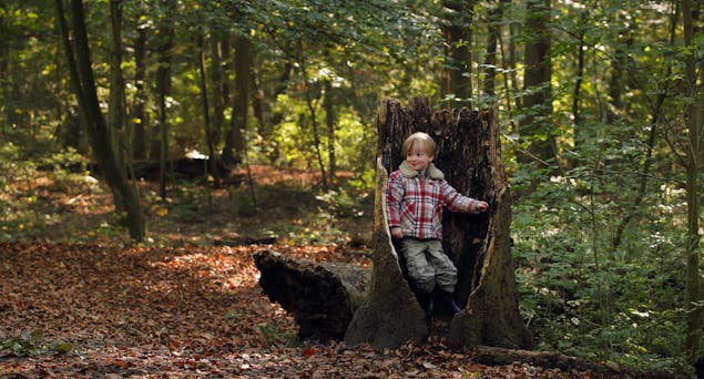 Staelduinse Bos - Foto: Holland Groen