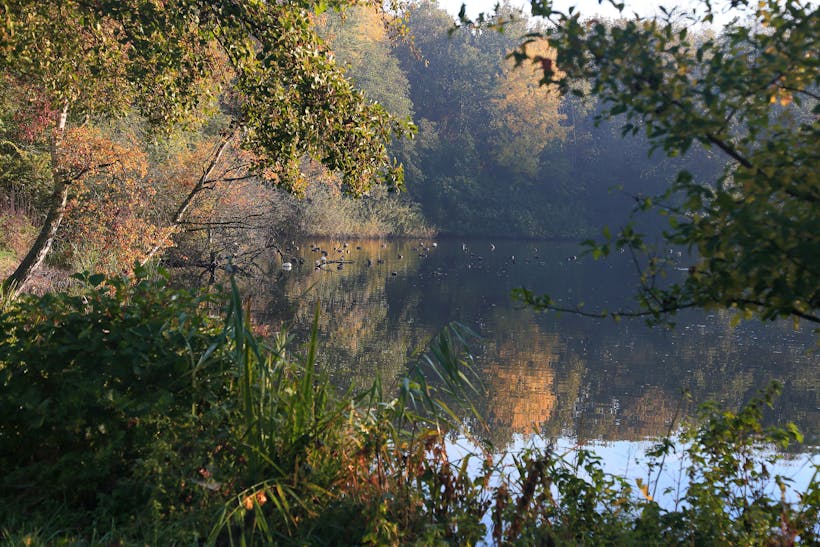 Landgoed Nieuw Leeuwenhorst ZuidHollands Landschap