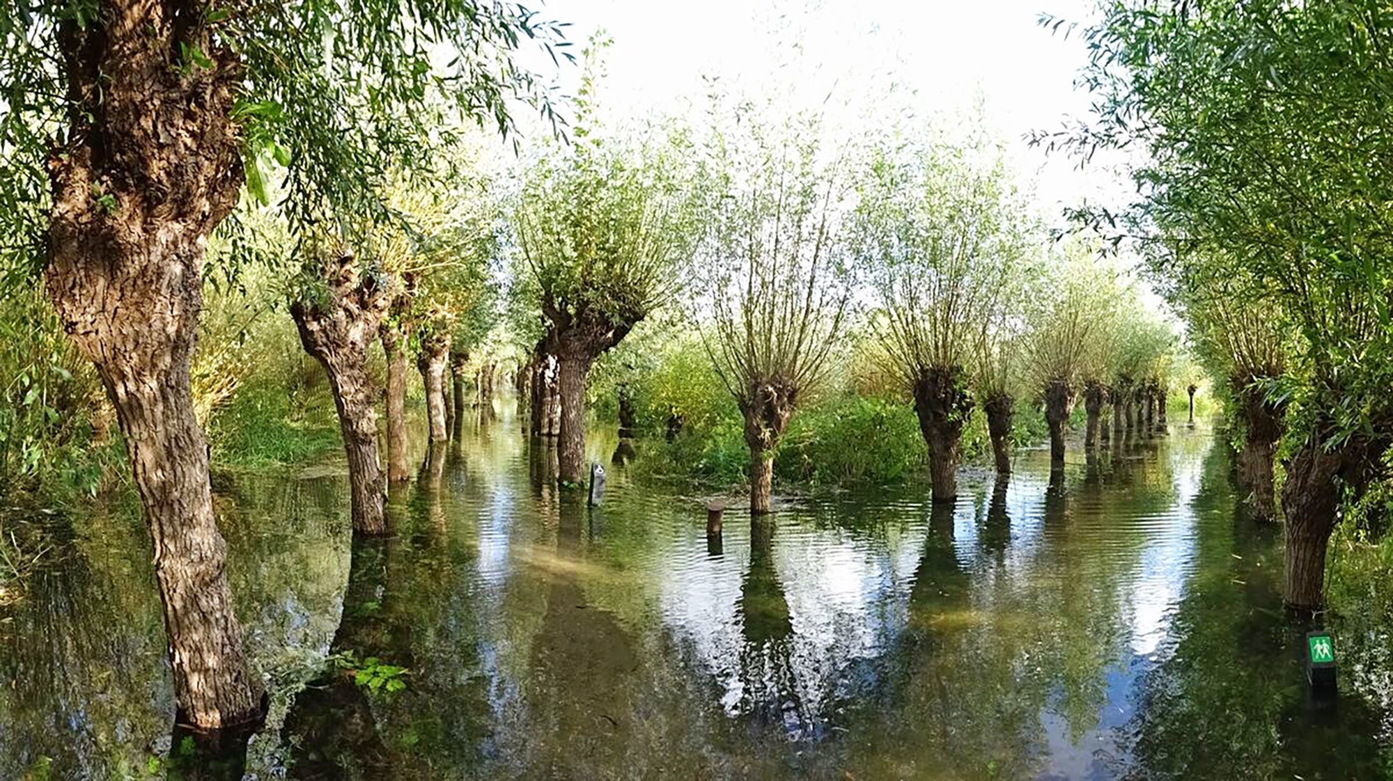 Natuureiland Sophiapolder | Zuid-Hollands Landschap