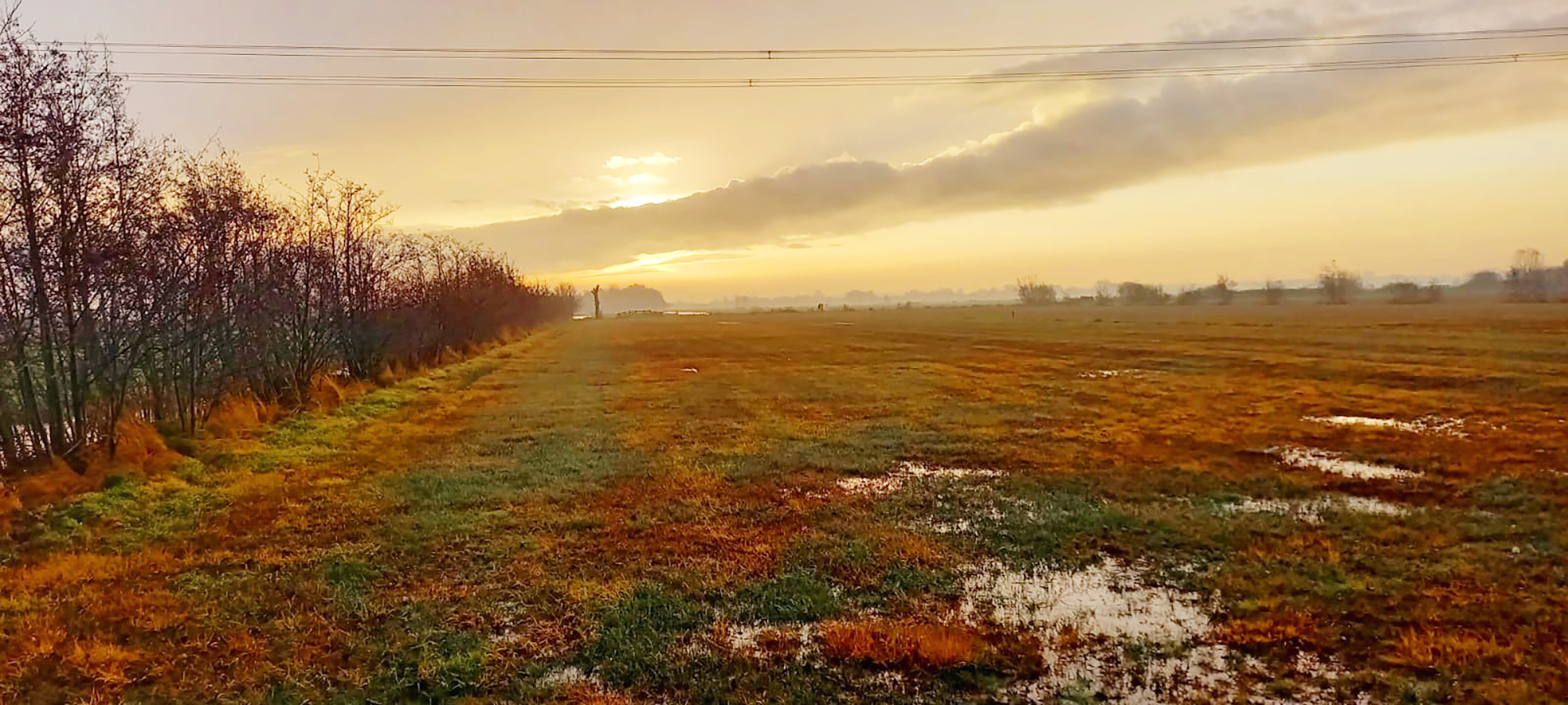 Berkenwoudse driehoek