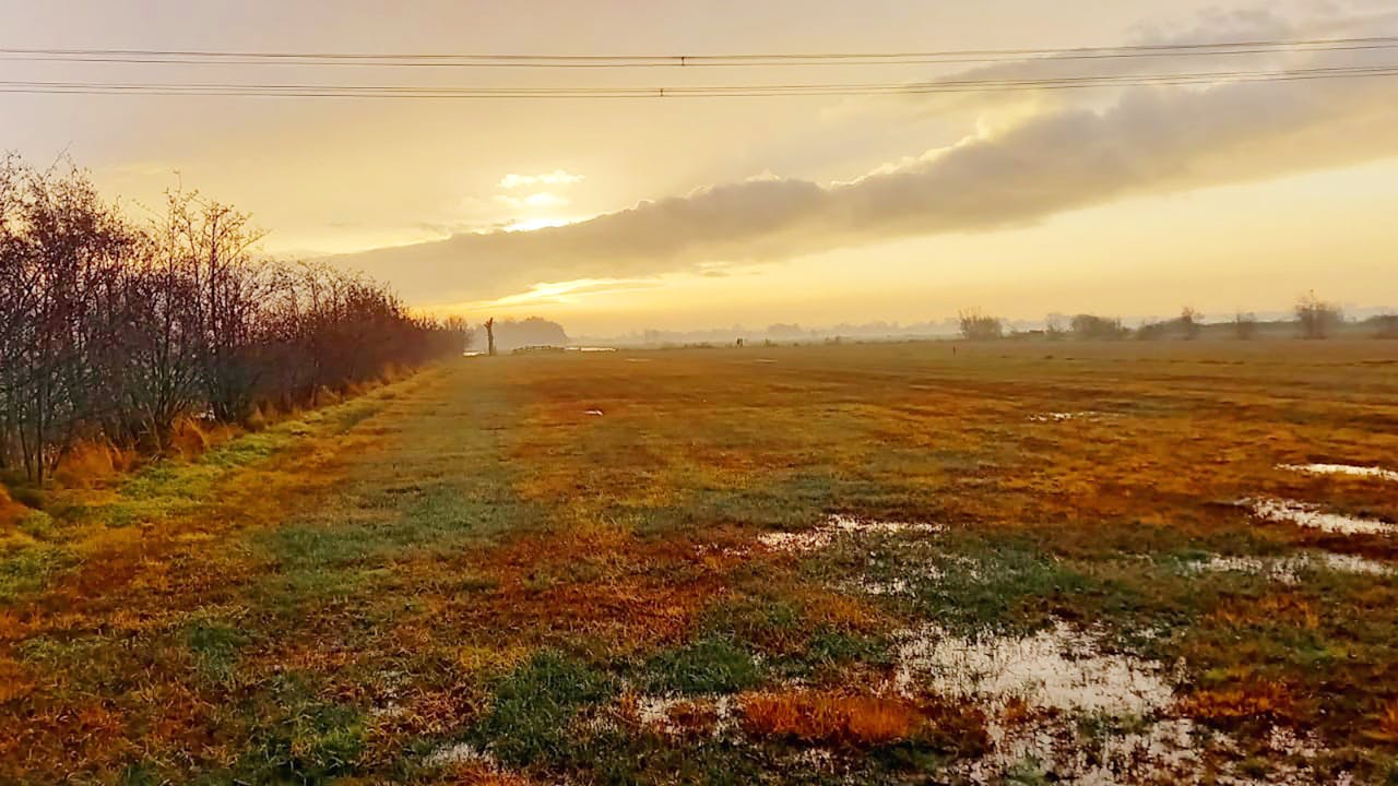 Berkenwoudse driehoek