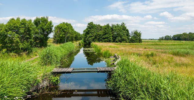 Polder-Berkenwoude-Floris-Scheplitz