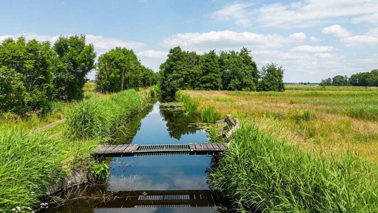 Polder-Berkenwoude-Floris-Scheplitz