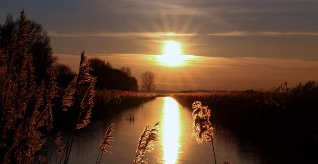 Het gouden uur voor de mooiste natuurfoto’s ZuidHollands Landschap