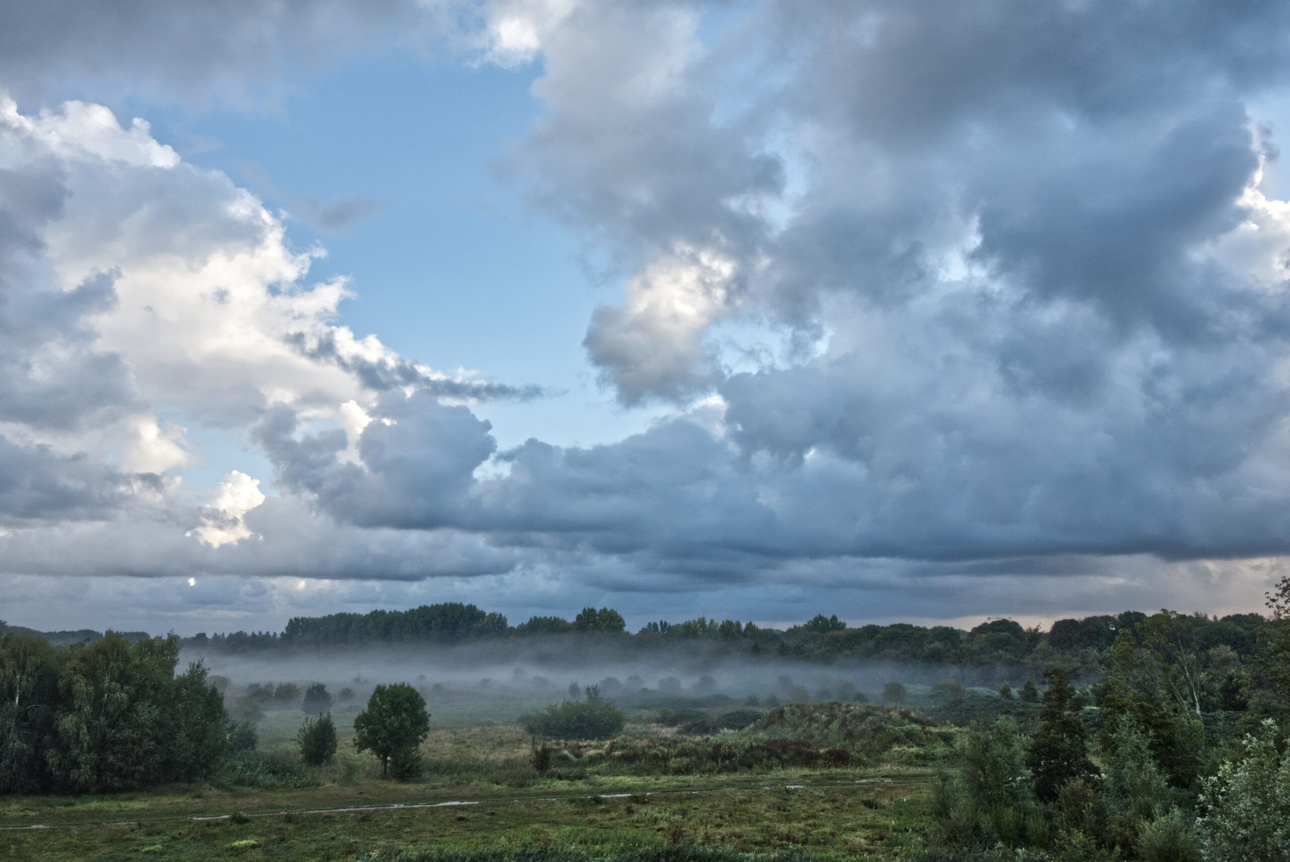 Ochtendnevel - Pim van der Vliet