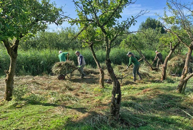spierkracht en slimmigheid