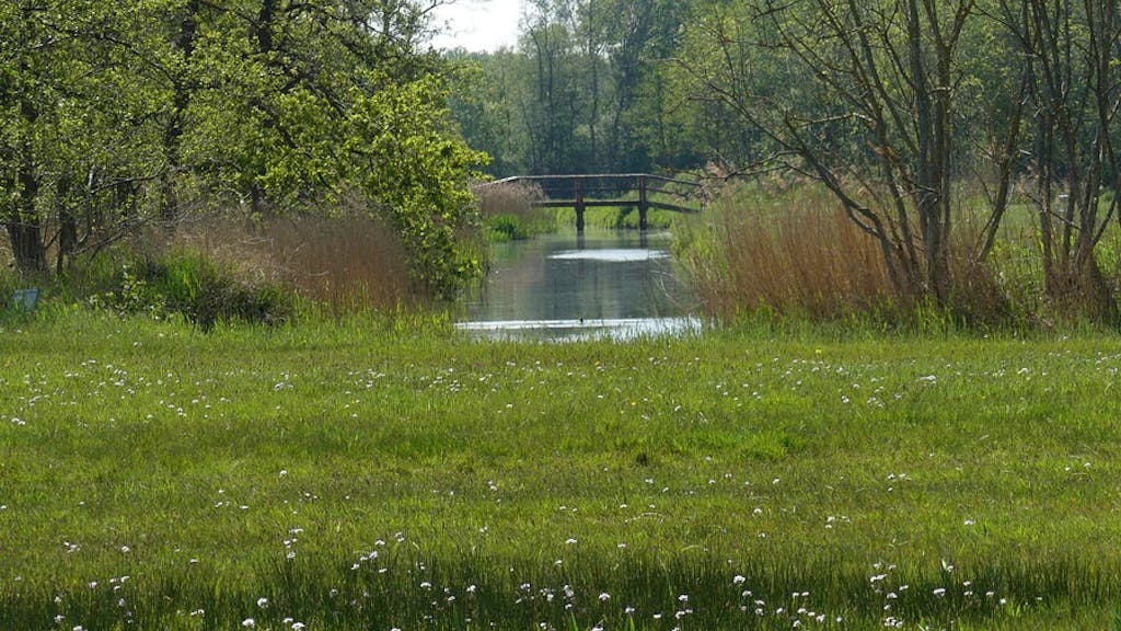 brug Wassergeest