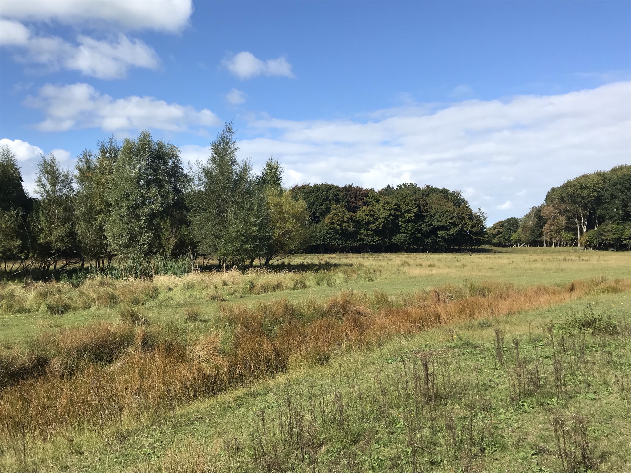 Langeveld begin 2024